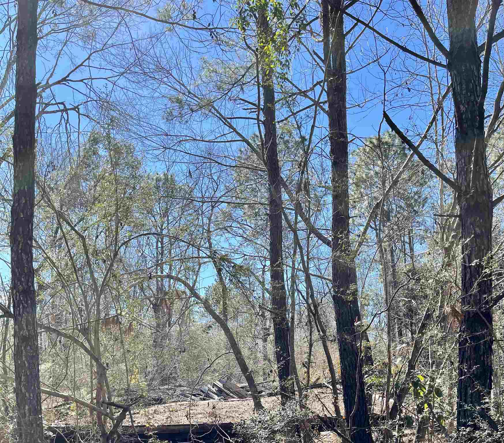36223 Highway 59 Stapleton, AL 36578 - Photo 2 of 4