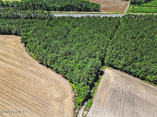4.47-ac Purdy Matthews Road Wade, NC 28395 - Photo 2 of 25