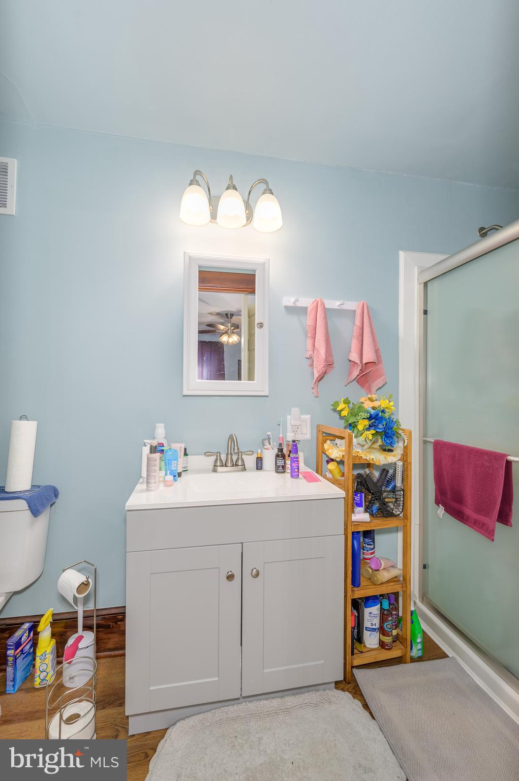 139 Bryarly Road Winchester, VA 22603 - Photo 13 of 58 Main Level Full Bath