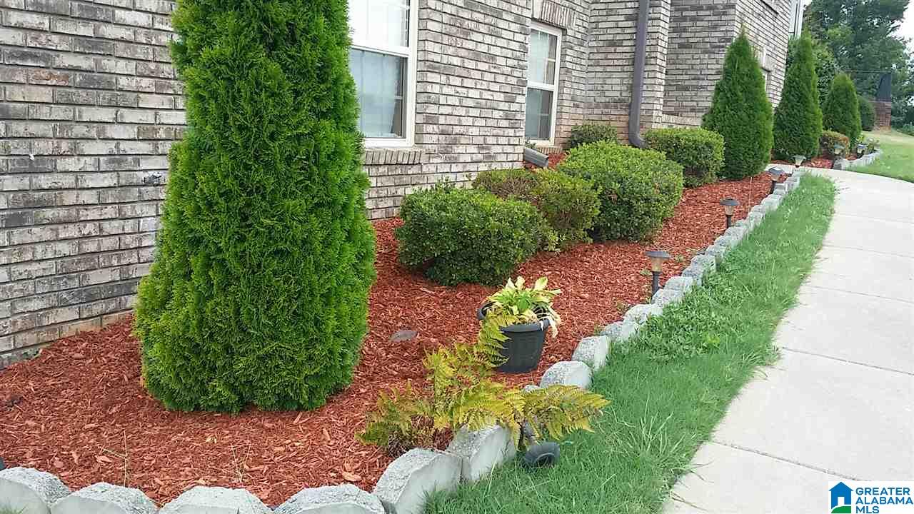 185 Smithfield Lane Springville, AL 35146 - Photo 8 of 38