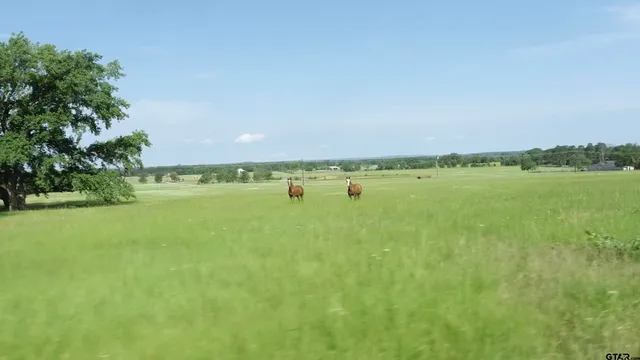 $169,000 | Lot 36 Acr 453, Montalba, TX 75853