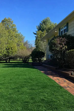 a view of yard with green space