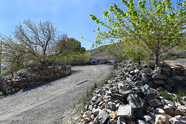 a view of a large yard with lots of bushes