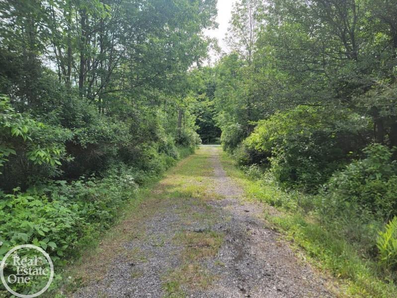 Vl Sheridan Road Emmett, MI 48022 - Photo 7 of 16