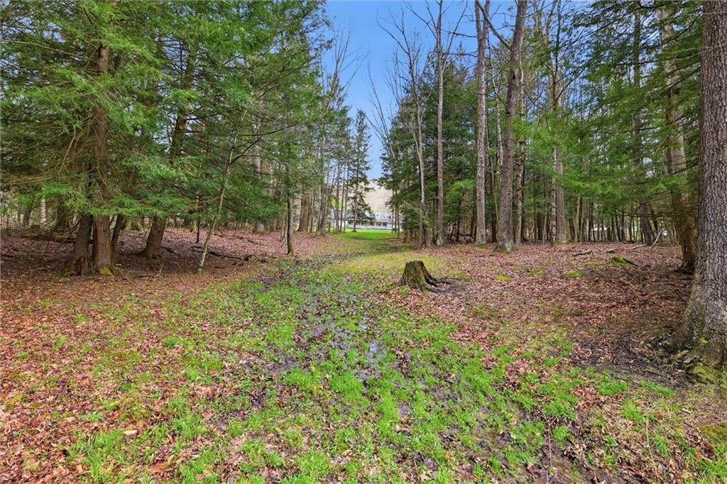 7092 Mercer Road Polk, PA 16342 - Photo 46 of 50 Gallery Image 46
