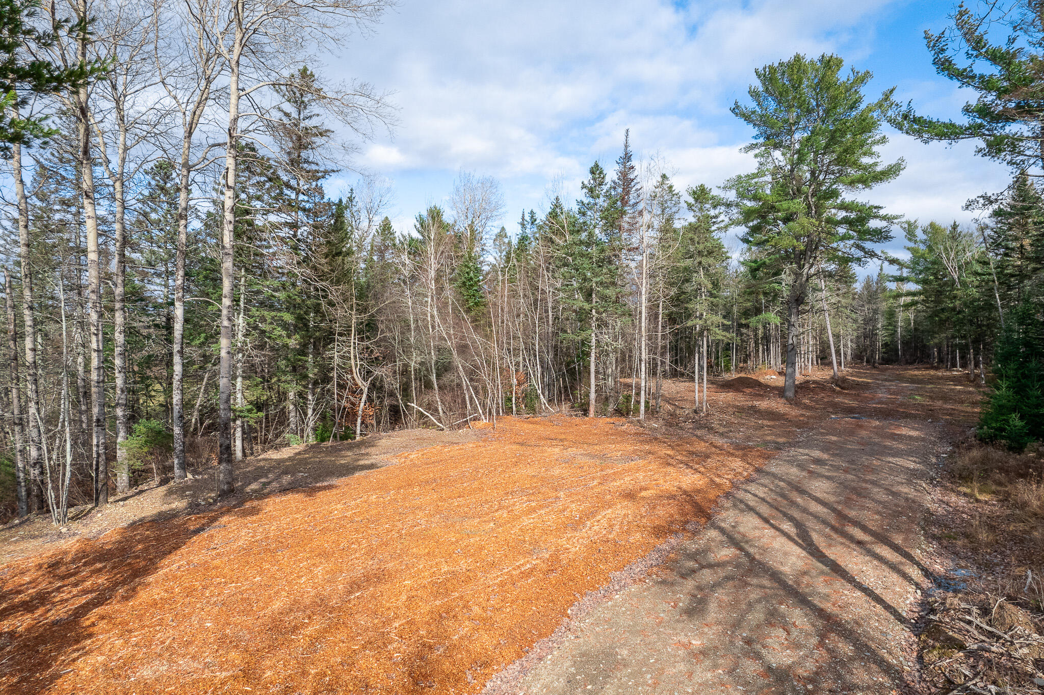 Lot 18 Rowell Road Holden, ME 04429 - Photo 13 of 17 Driveway-2