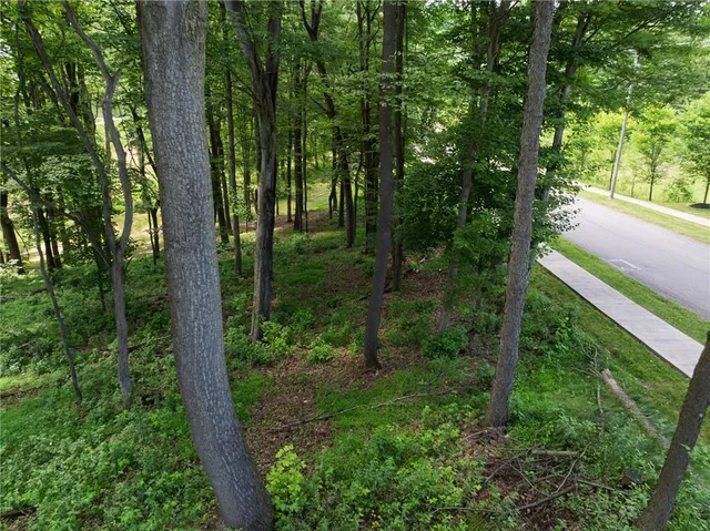 a view of outdoor space and garden