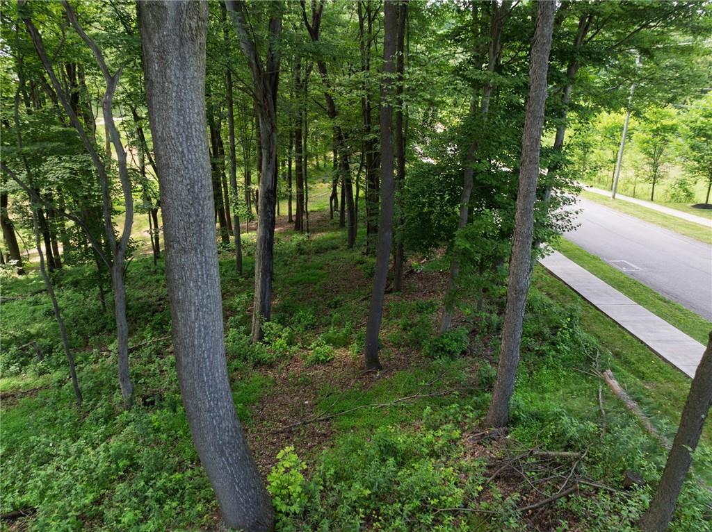 805 Mt Pleasant Road Mars, PA 16046 - Photo 3 of 5 a view of outdoor space and garden