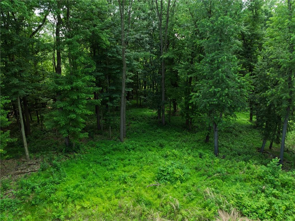 805 Mt Pleasant Road Mars, PA 16046 - Photo 4 of 5 a view of outdoor space and garden