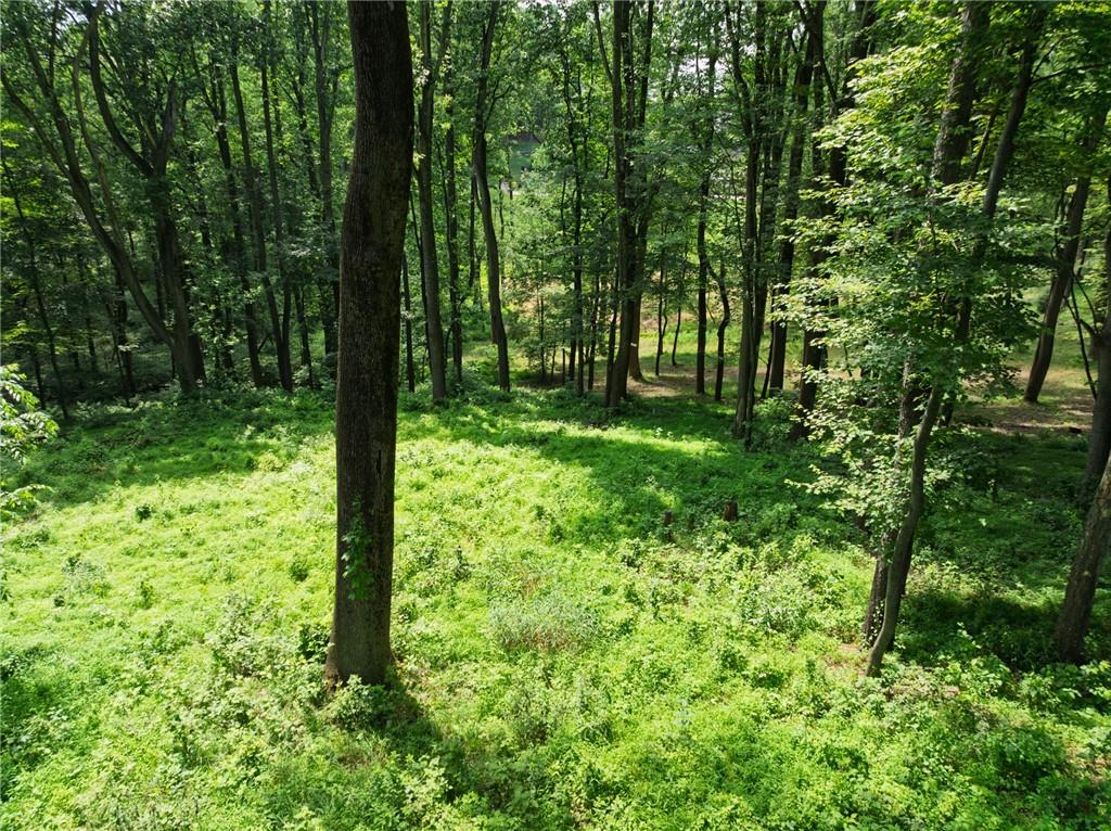 805 Mt Pleasant Road Mars, PA 16046 - Photo 5 of 5