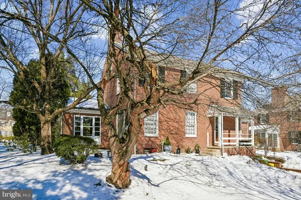 a view of backyard with a tree
