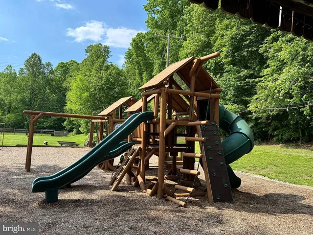 a view of a park with large trees