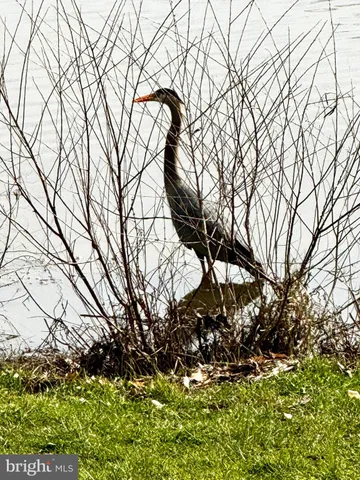 a view of backyard with swimming pool and seating space