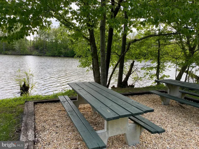 a garden with lots of trees