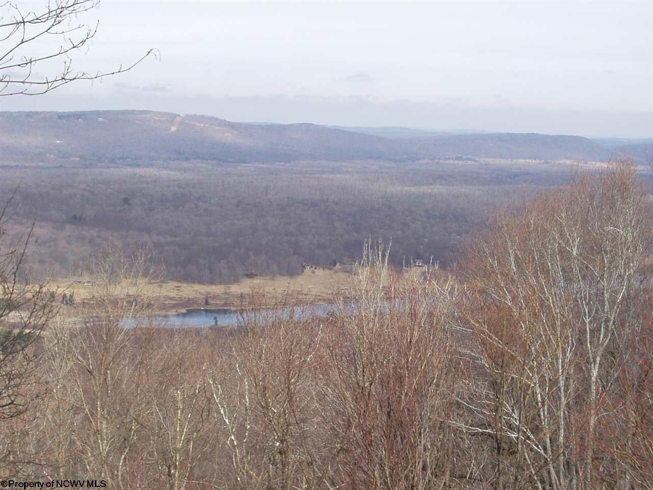 8 Valley View Road Davis, WV 26260 - Photo 11 of 20 Gallery Image 11