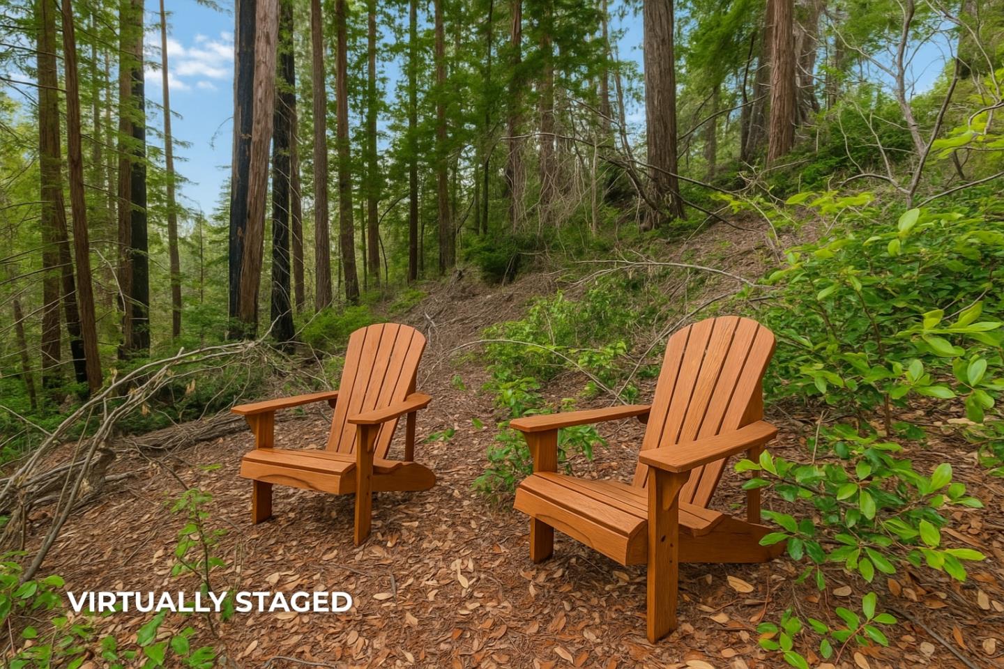 a view of a two chairs in a backyard