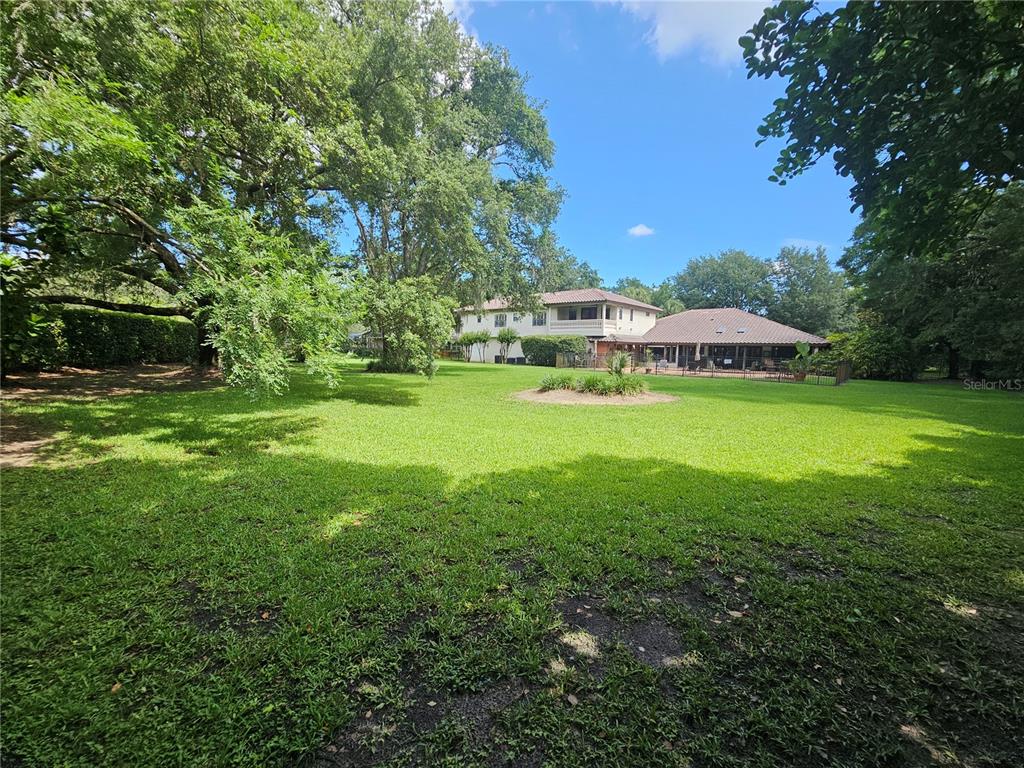 11056 Clipper Court Windermere, FL 34786 - Photo 13 of 18 a view of a house with a big yard and large trees