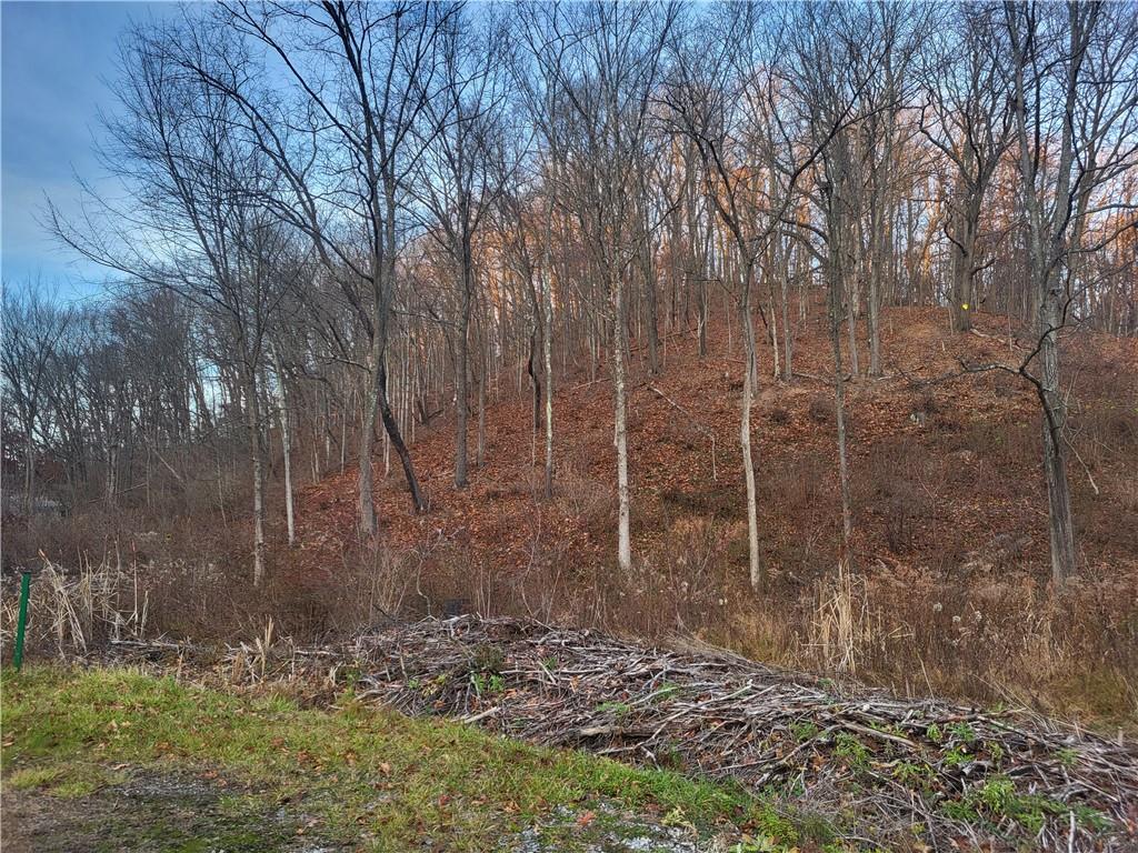 3445 Conway Wallrose Road Baden, PA 15005 - Photo 12 of 14 photo from December 2025