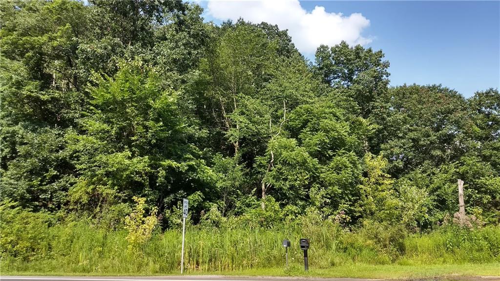 3445 Conway Wallrose Road Baden, PA 15005 - Photo 3 of 11 photo from Summer of 2019