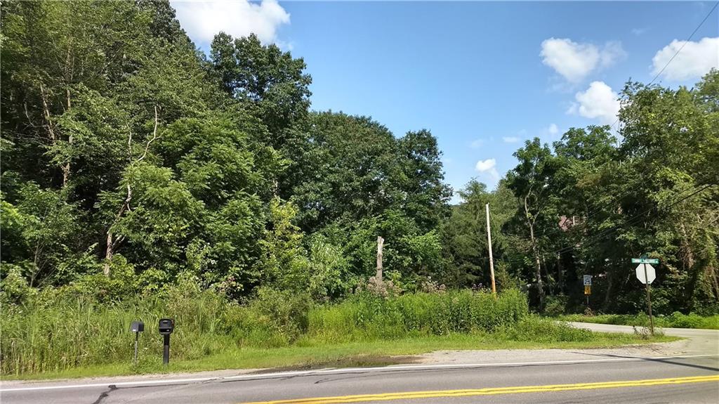 3445 Conway Wallrose Road Baden, PA 15005 - Photo 4 of 11 photo from Summer of 2019