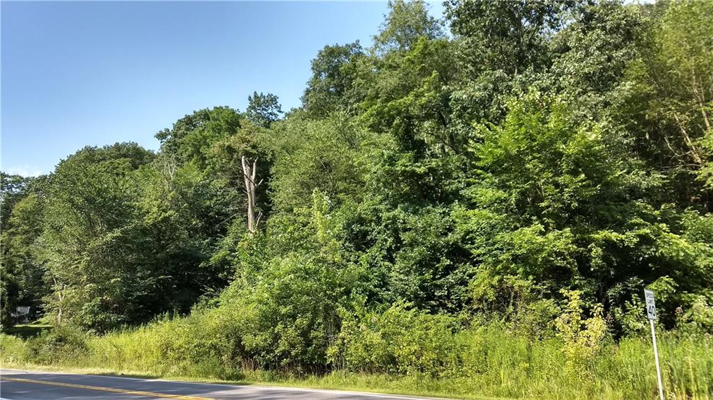 3445 Conway Wallrose Road Baden, PA 15005 - Photo 5 of 14 photo from Summer of 2019