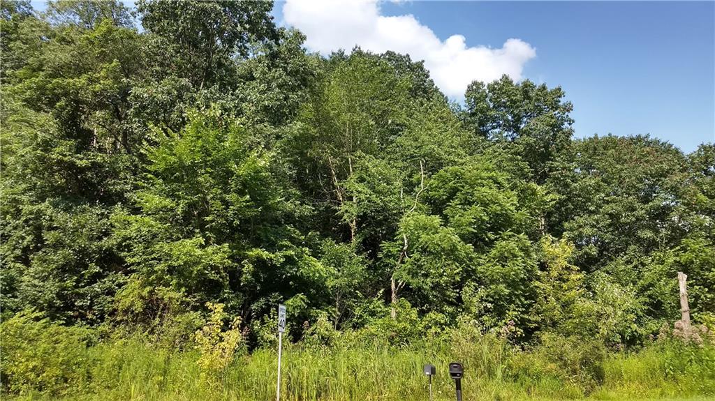 3445 Conway Wallrose Road Baden, PA 15005 - Photo 7 of 11 photo from Summer of 2019