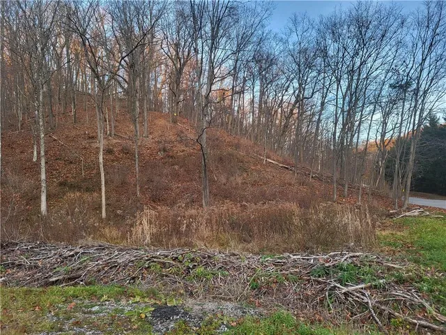 $60,000 | 3445 Conway Wallrose Road, Baden, PA 15005