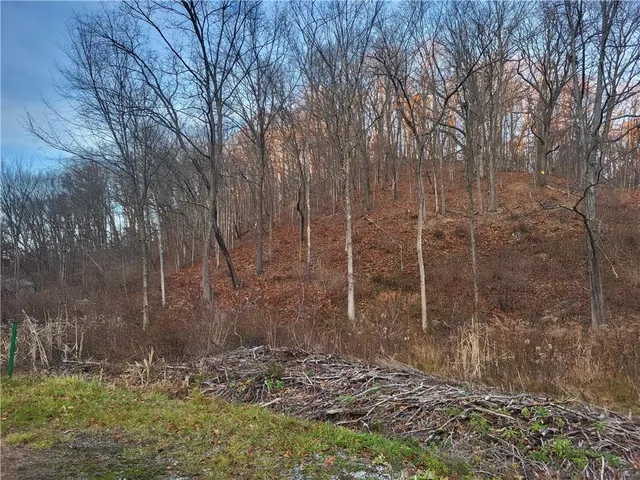 $60,000 | 3445 Conway Wallrose Road, Baden, PA 15005