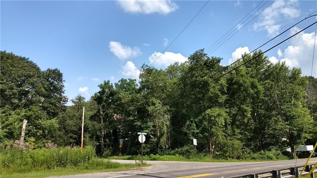 3445 Conway Wallrose Road Baden, PA 15005 - Photo 10 of 14 photo from Summer of 2019