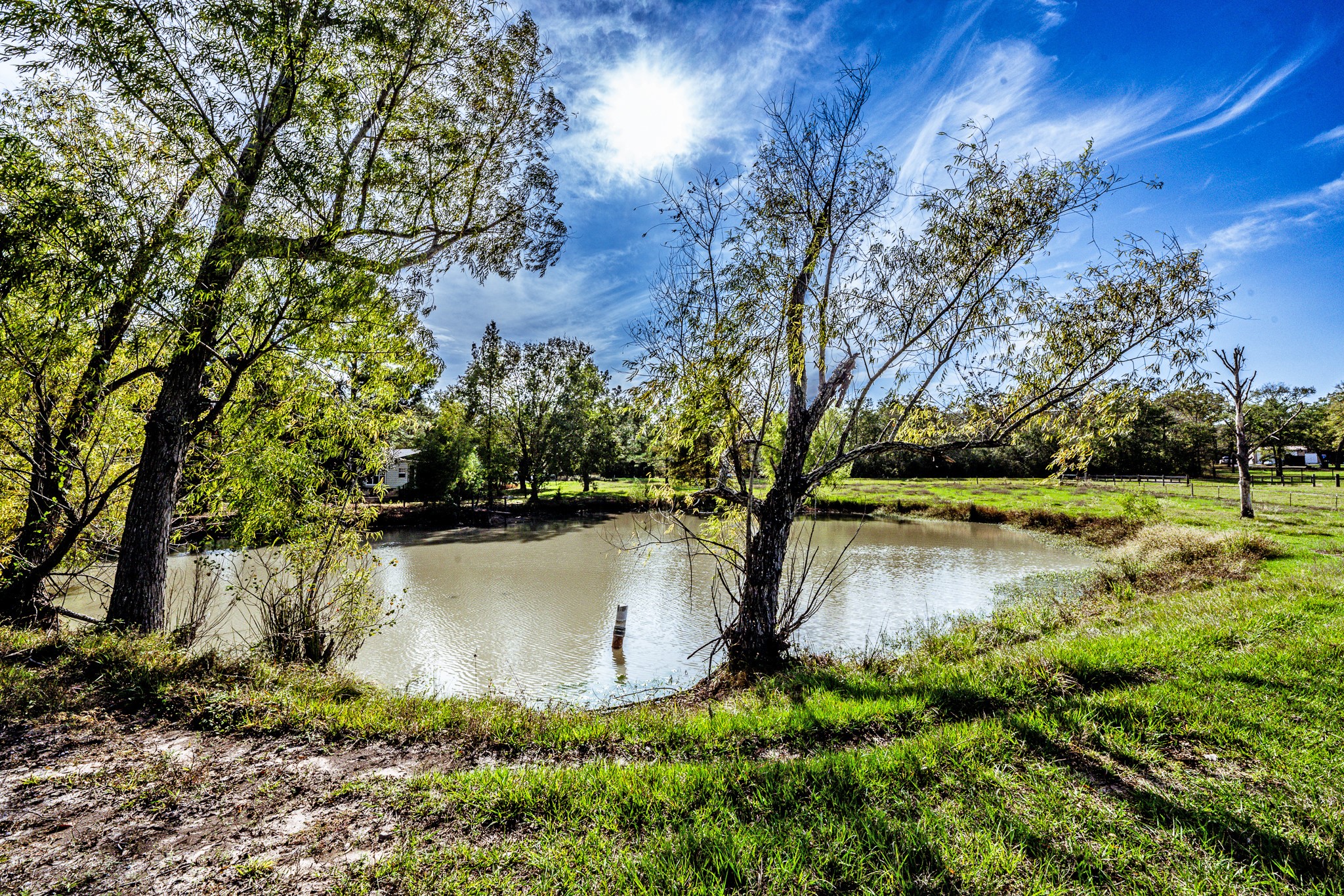 290 Townley Ranch Road Huntsville, TX 77320 - Photo 47 of 50
