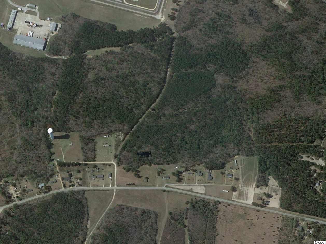 Tbd Council Road Salters, SC 29590 - Photo 2 of 2