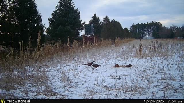 6138 Mt Olive Road Sturgeon Bay, WI 54235 - Photo 43 of 50