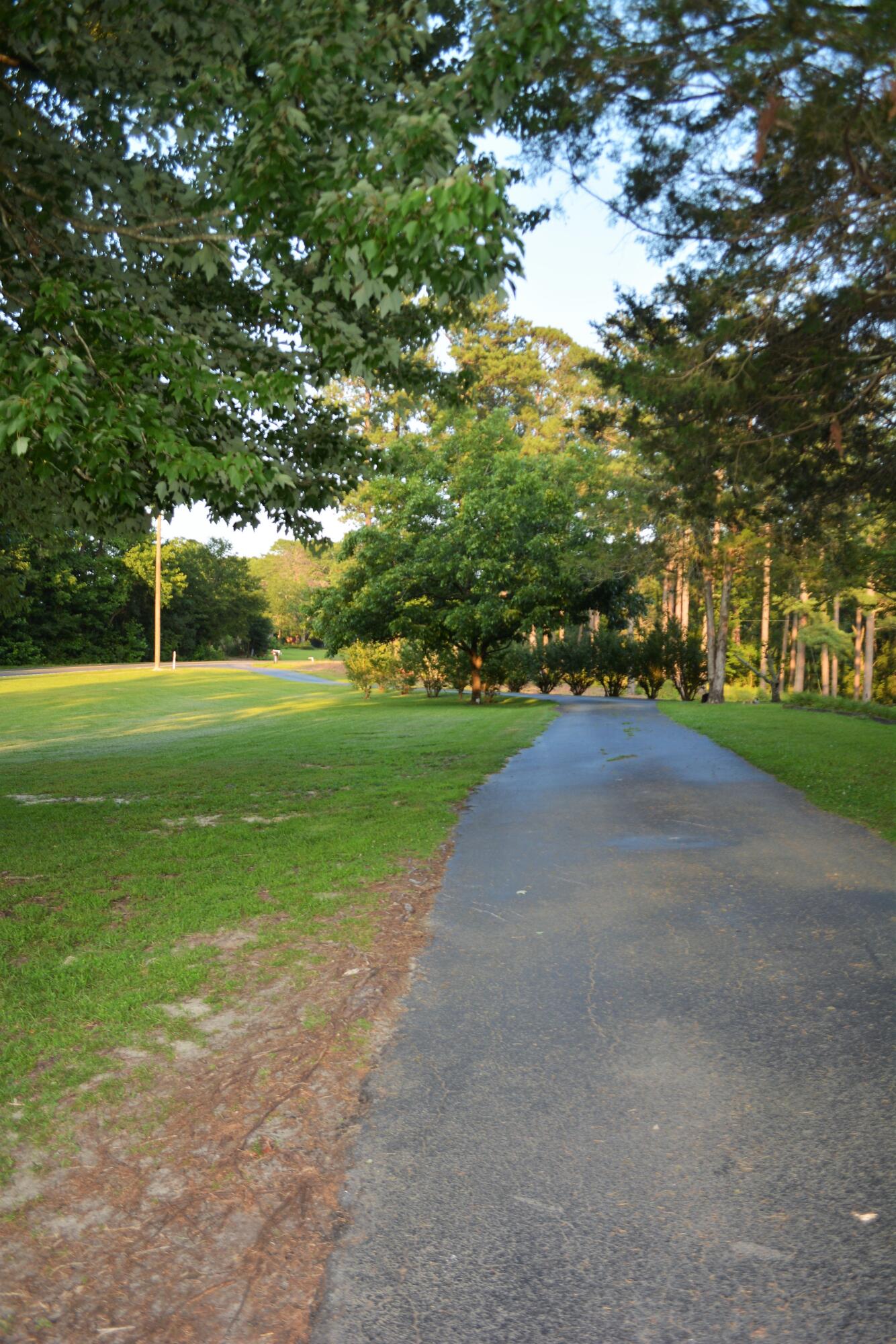 2126 Cedar Grove Road Leesville, SC 29070 - Photo 66 of 74
