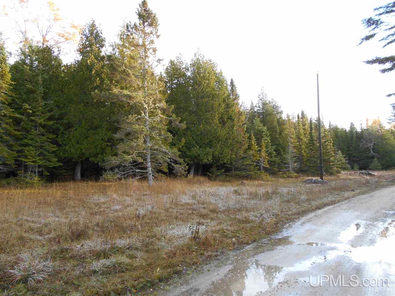 Tbd Co Rd 431 Gulliver, MI 49840 - Photo 8 of 10