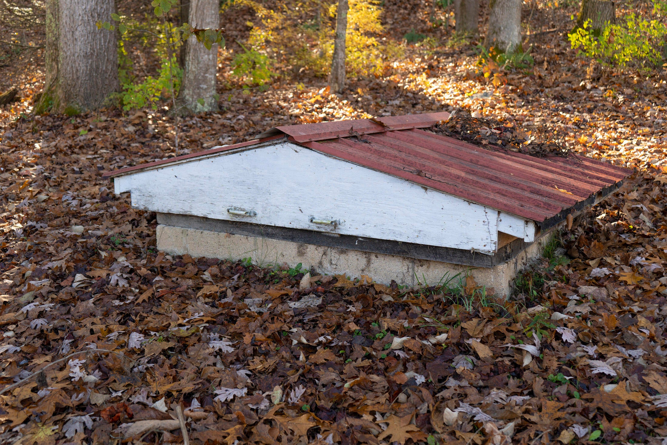 152 Kirks Road Forest Hill, WV 24935 - Photo 5 of 5 Gallery Image 5