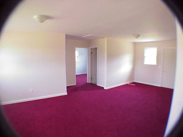 204 Holiday Lane Pendleton, SC 29670 - Photo 4 of 5 Gallery Image 4