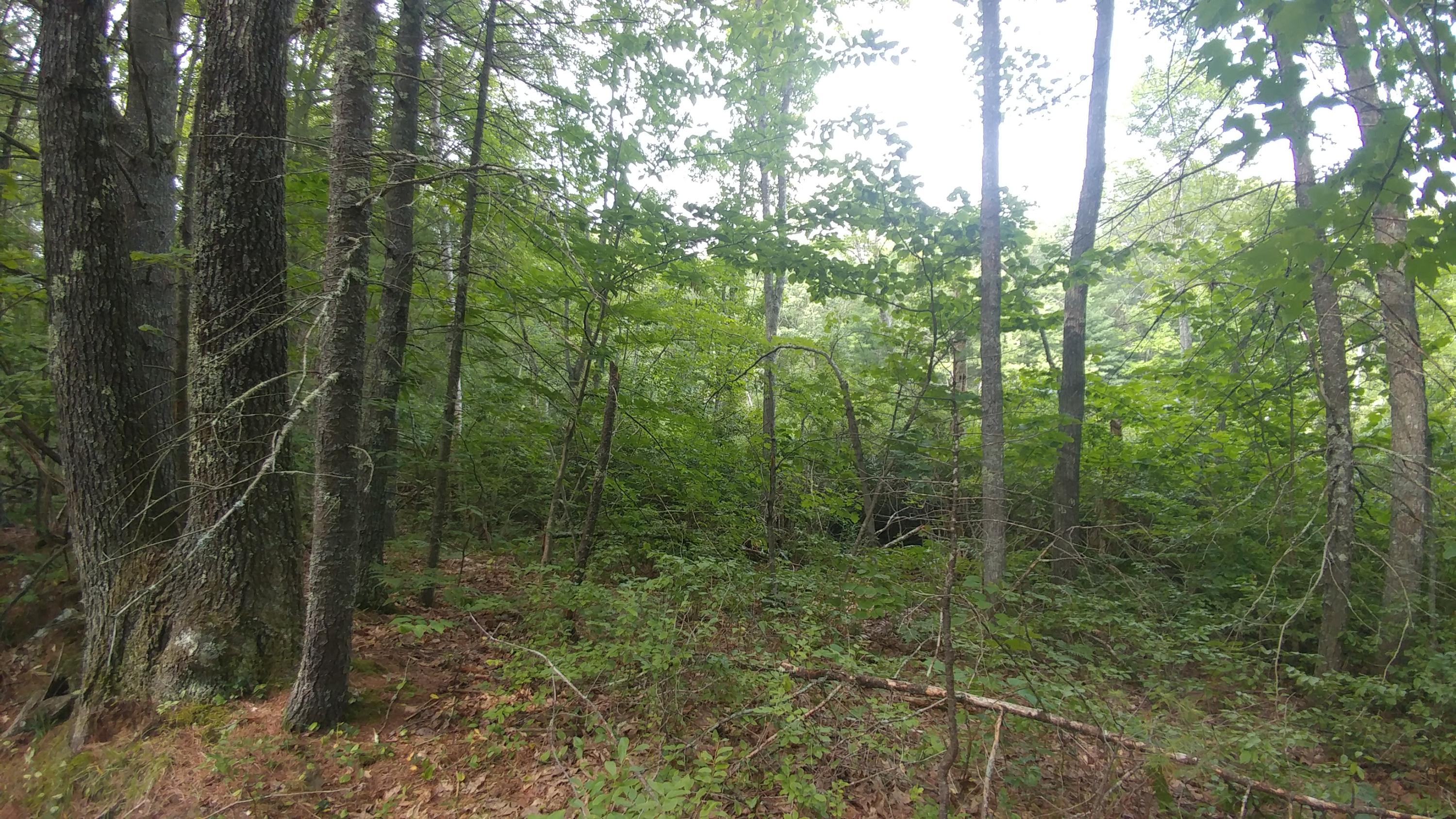 88 Boyds Corner Road South Berwick, ME 03908 - Photo 5 of 7 0817181555c