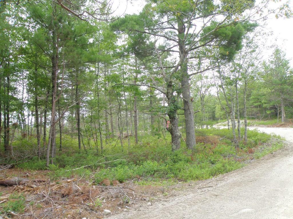 Lot 27 Lane Road Cherryfield, ME 04622 - Photo 1 of 11 Photo