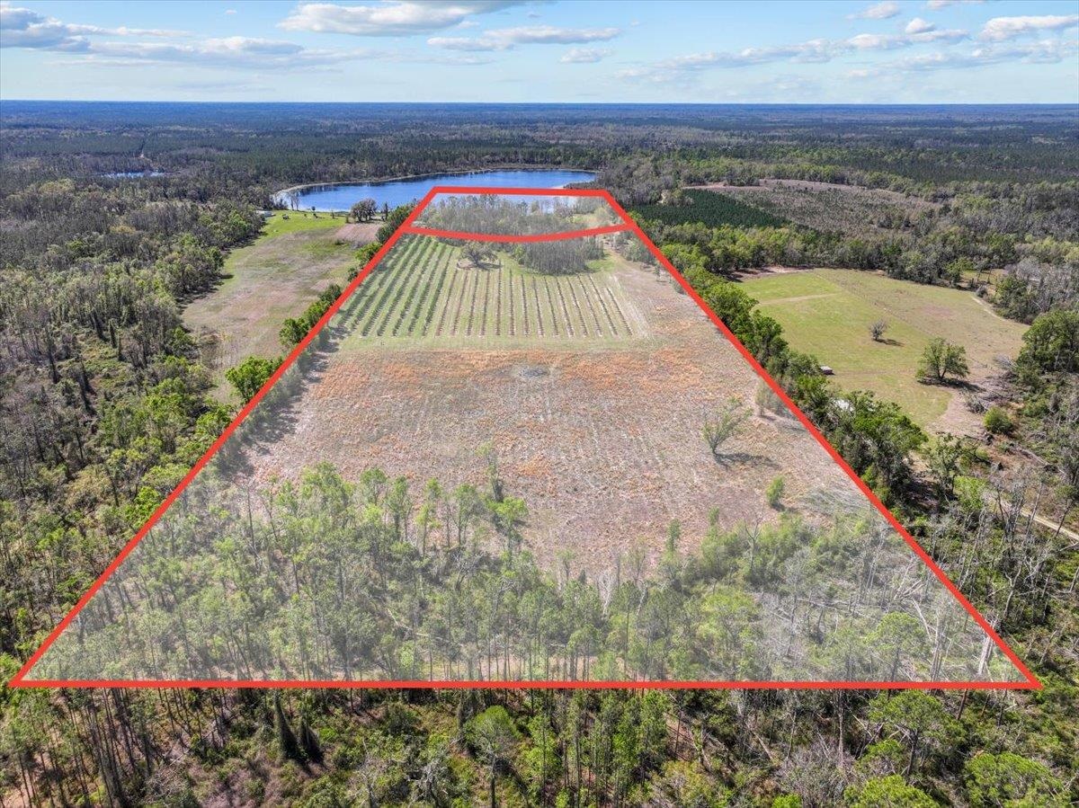 11110 Andrews Lake Road Greenville, FL 32331 - Photo 41 of 42