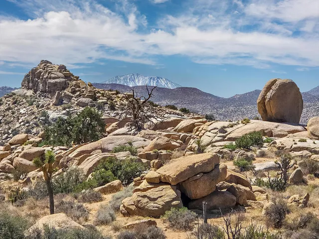 a view of a sky from a yard