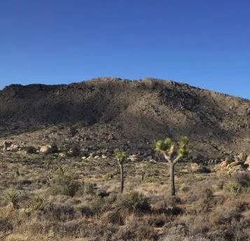 a view of a dry yard with mountain