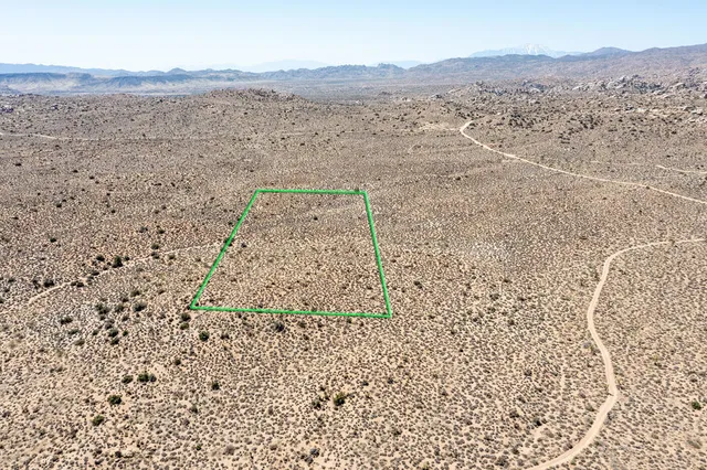 a view of a dry yard with trees
