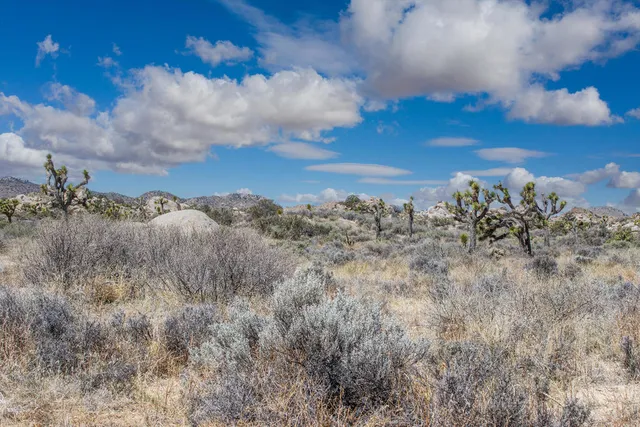 a view of a dry yard covered with snow