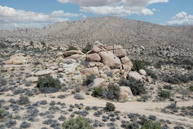 a view of a lake with a plant