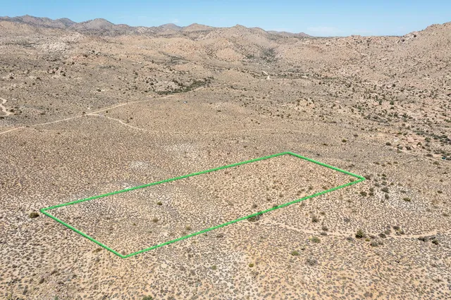 a view of a tree with a yard