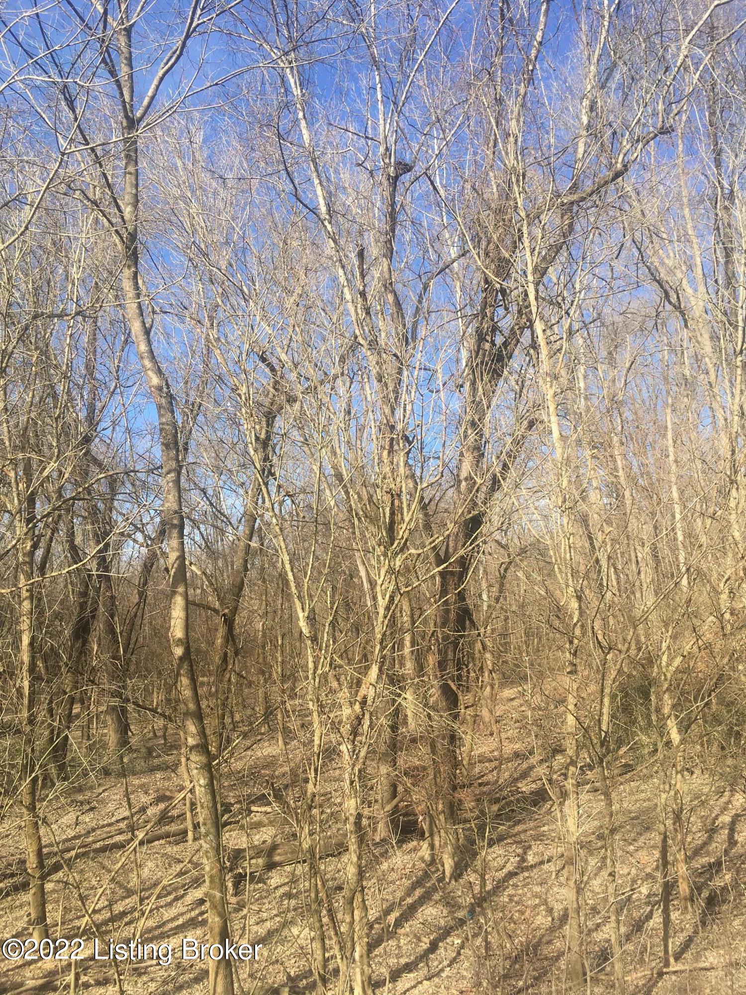 5 Beech Grv Road Shepherdsville, KY 40165 - Photo 2 of 5 land 8