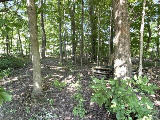 4084 Hartman Road Sodus, MI 49126 - Photo 9 of 62 IMG_5791