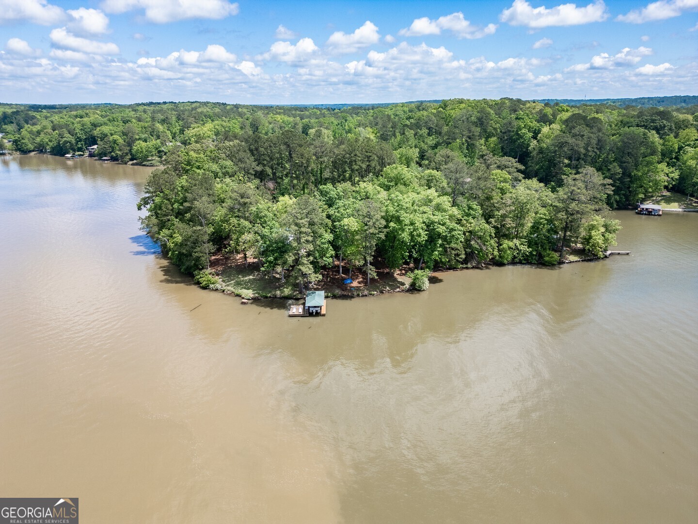 2000 Campbell Road Covington, GA 30014 - Photo 15 of 80 a view of a lake with a building in the background