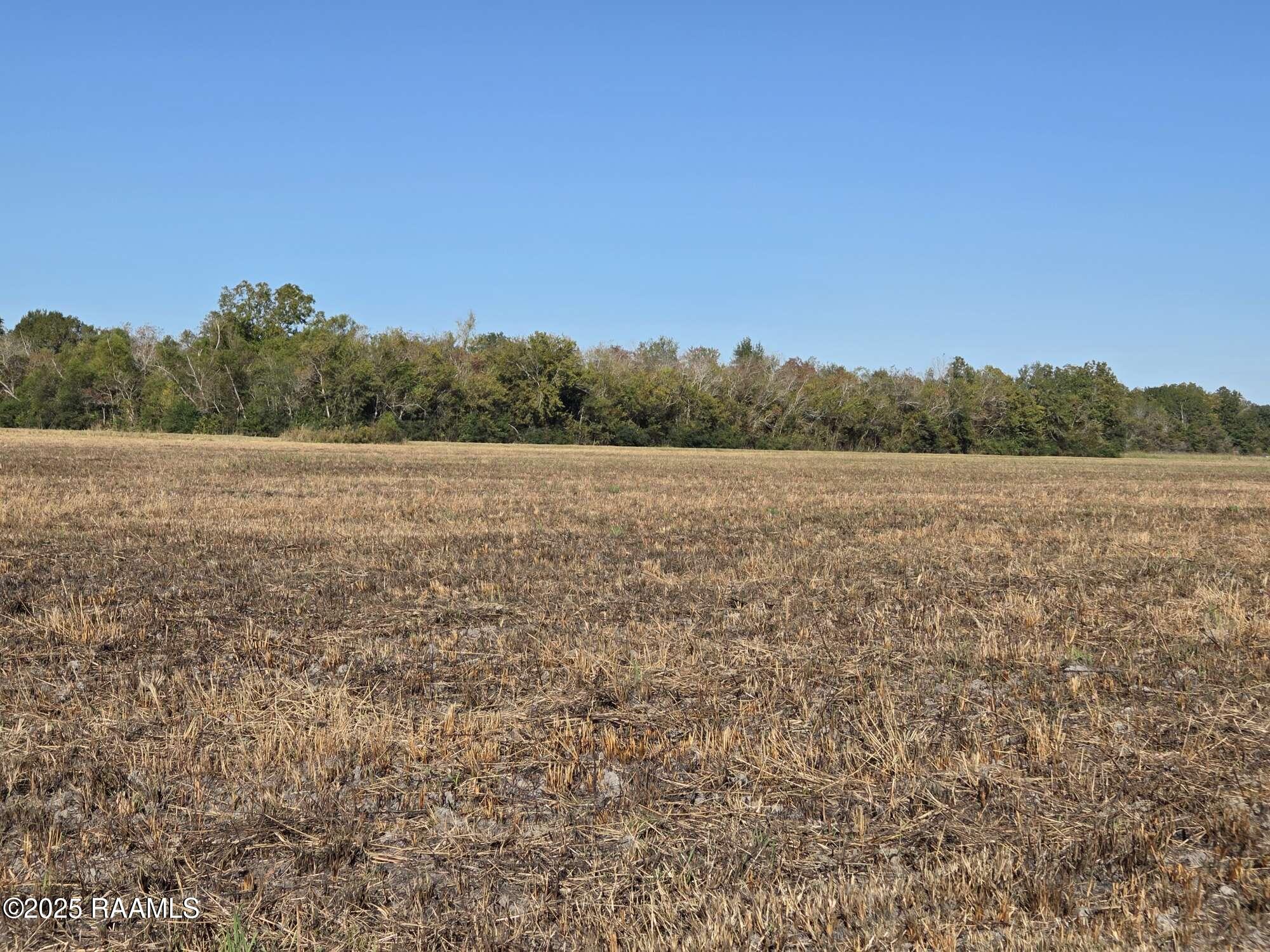 900 Killdee Lane Duson, LA 70529 - Photo 11 of 18 Compress_20251112_192941_1400