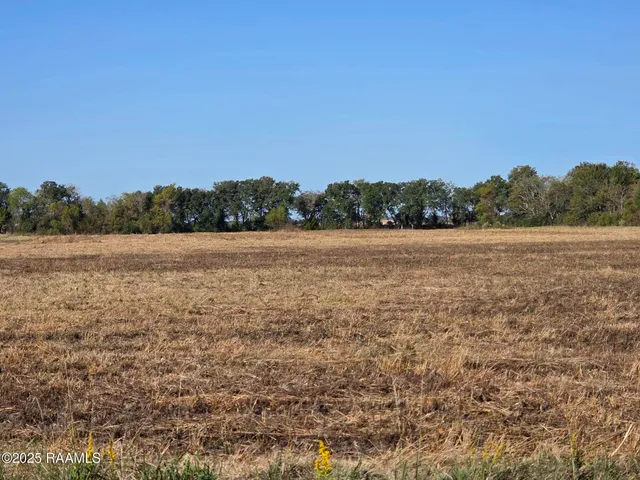 $391,500 | 900 Killdee Lane, Duson, LA 70529